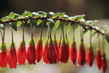 珠海香洲区2私人快速借钱网，轻松解决资金难题
